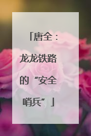 唐全：龙龙铁路的“安全哨兵”